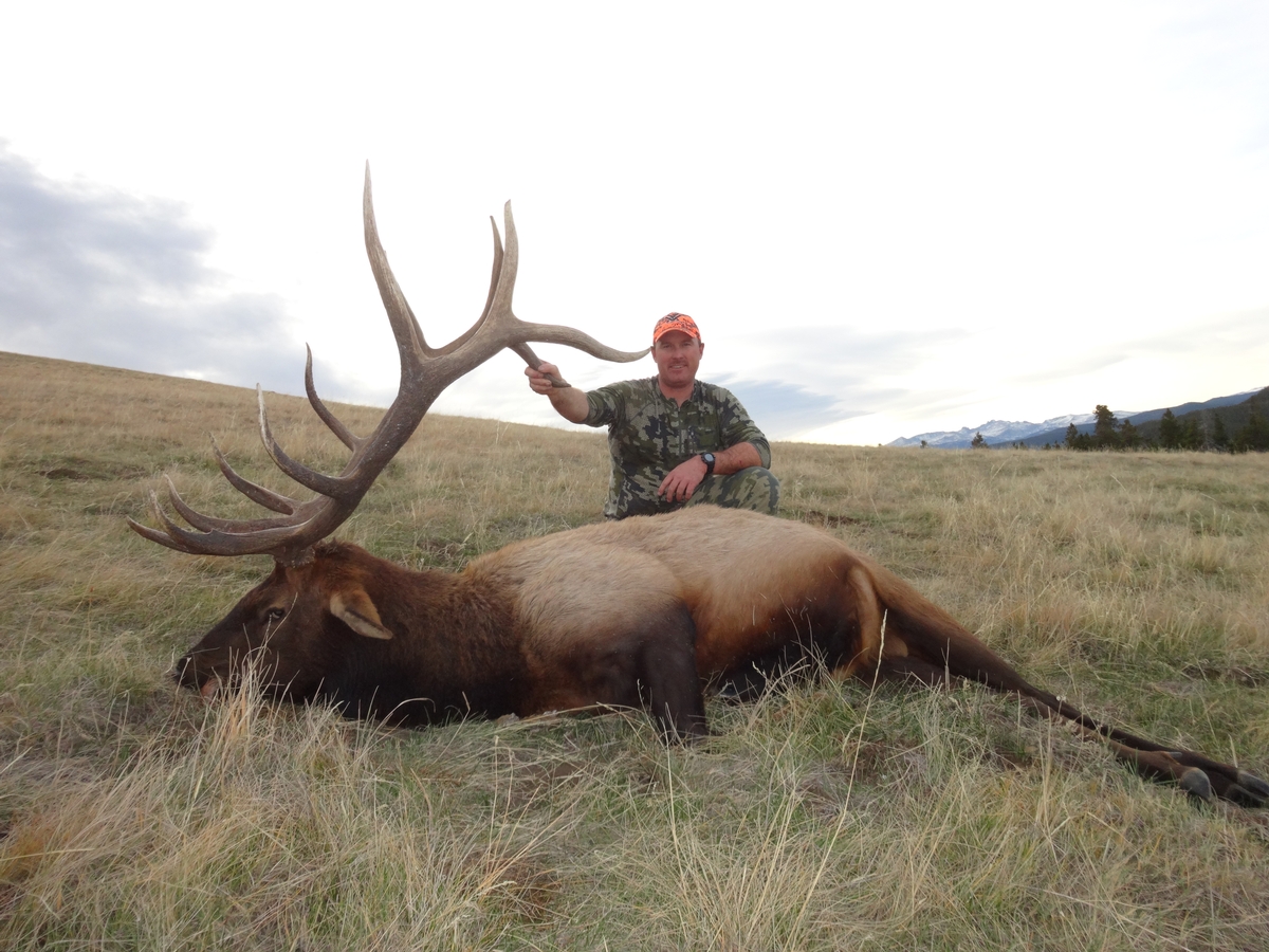 Elk Hunting 